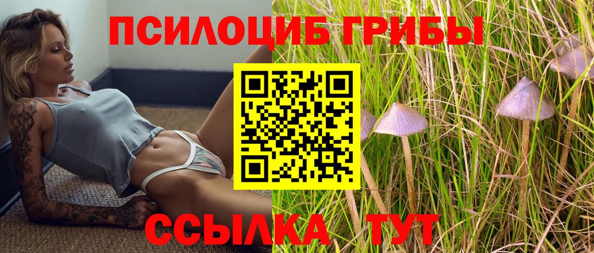 Галлюциногенные грибы Psilocybine cubensis  Вход с VPN  Мелеуз 